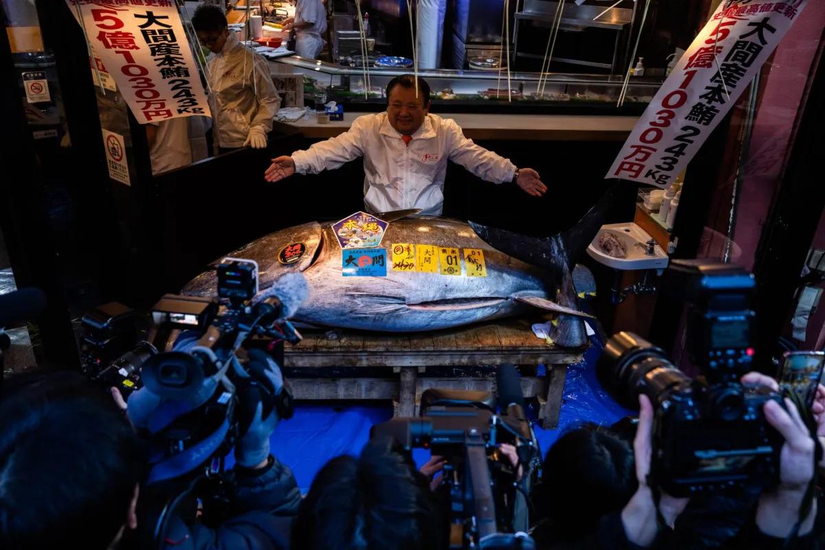 Kiyoshi Kimura Pays Record ¥510 Million for 243-Kilogram Bluefin Tuna at Tokyo's Toyosu Market