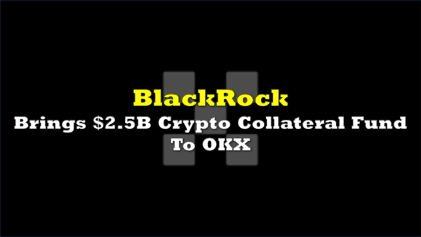 Image from thedeepdive.ca