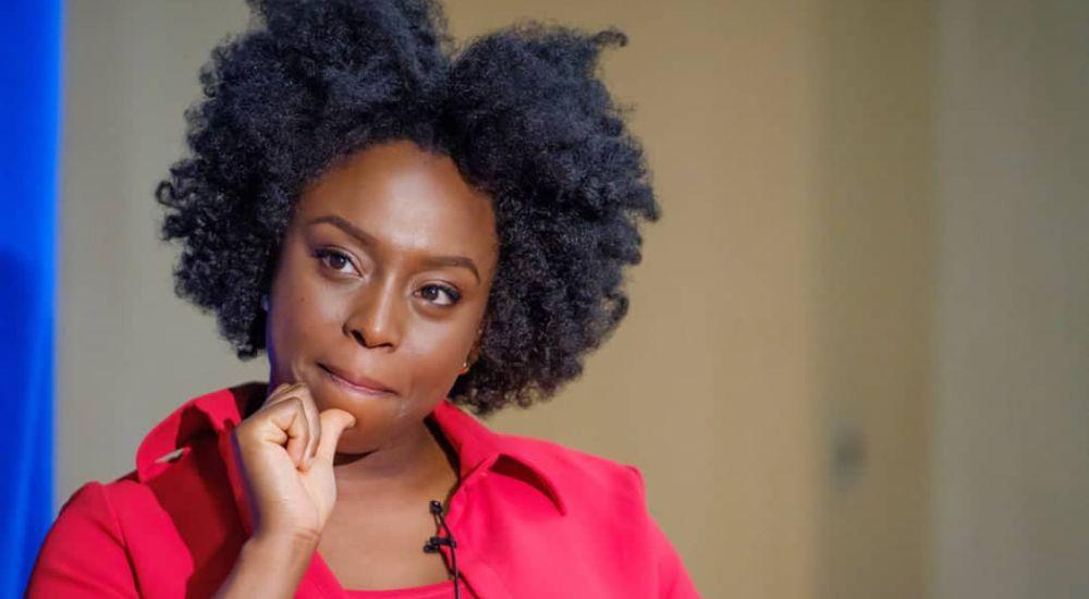 Chimamanda Ngozi Adichie Accuses Euracare Hospital and Anaesthesiologist of Criminal Negligence After They Killed Her 21‑Month‑Old Son