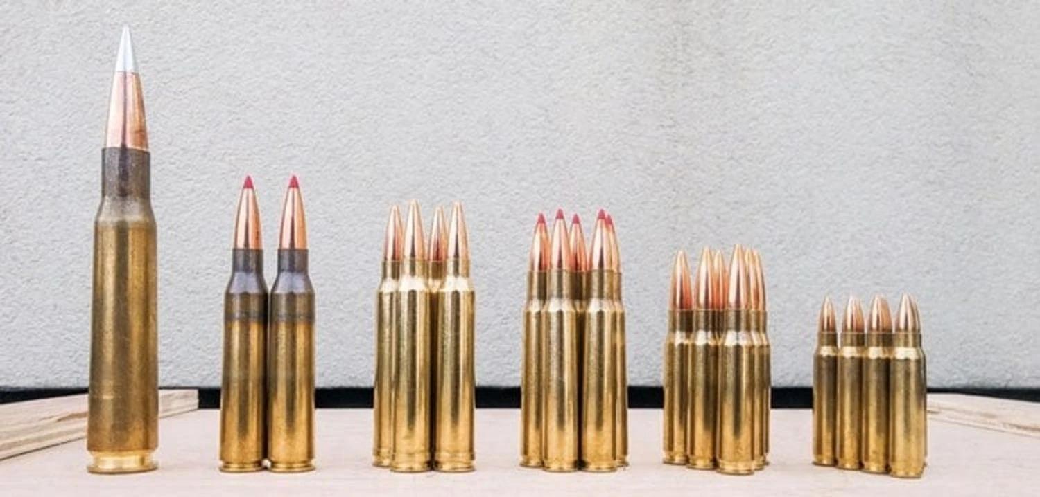 Top 100 Arms Makers Post Record $679 Billion in Sales, Fuel Wars in Gaza and Ukraine