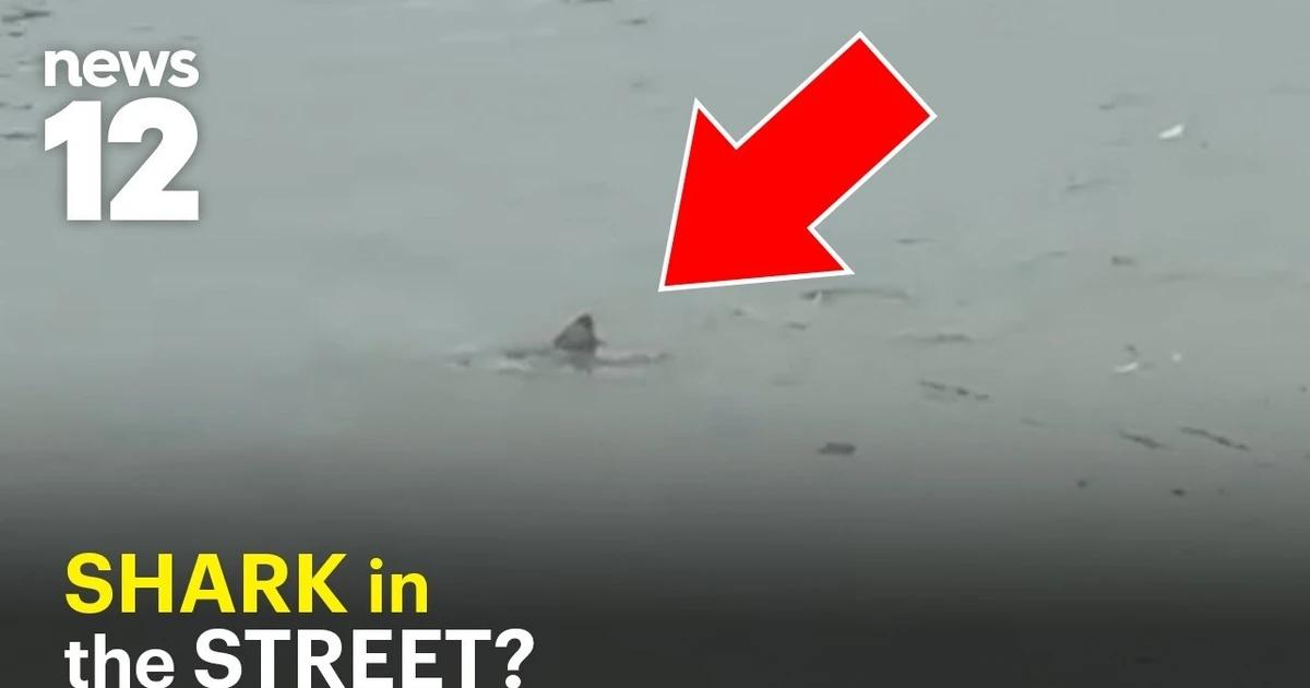 Nor’easter Floods Surf City, New Jersey, As Residents Film Shark Swimming Streets