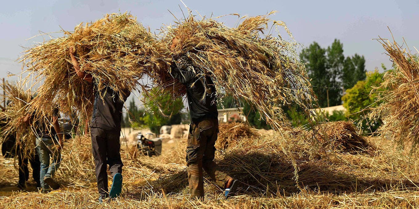 Image from Project Syndicate