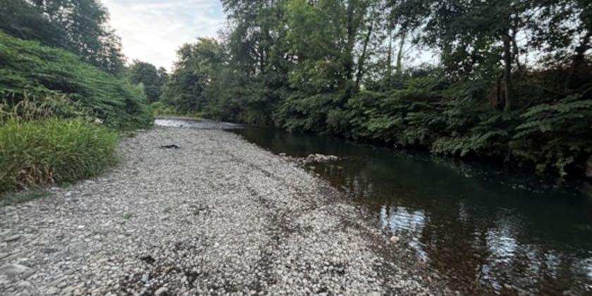Natural Resources Wales Declares Drought Across Whole Of Wales As River Levels Hit Lows