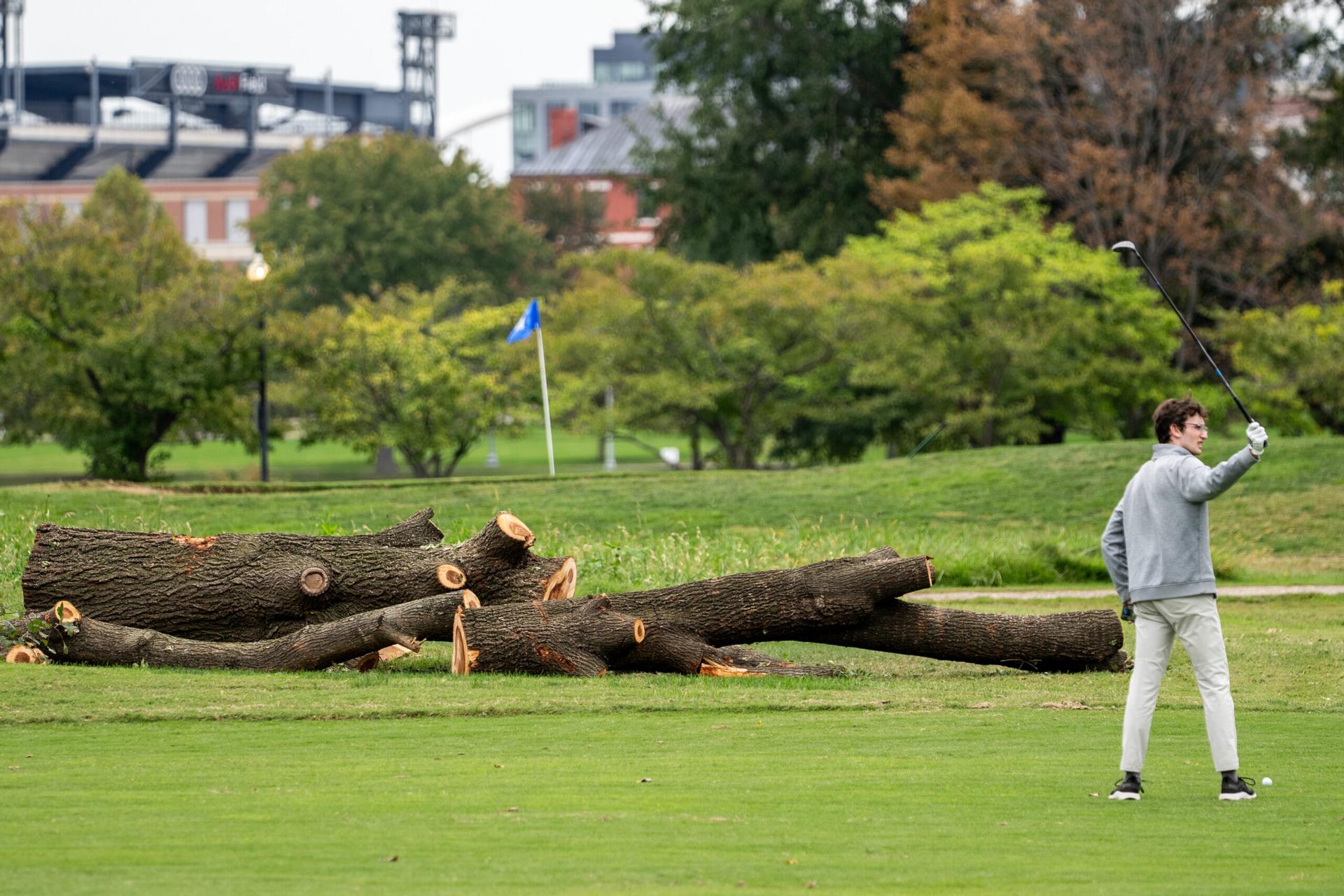 Judge Ana C. Reyes Orders Interior Department To Halt East Potomac Tree Cutting