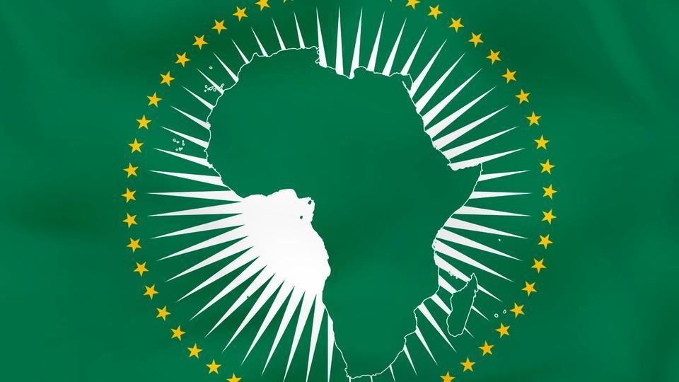 Ethiopian proverb of the day: 'When spider webs unite, they can tie up a lion' — How collective action can defeat great power