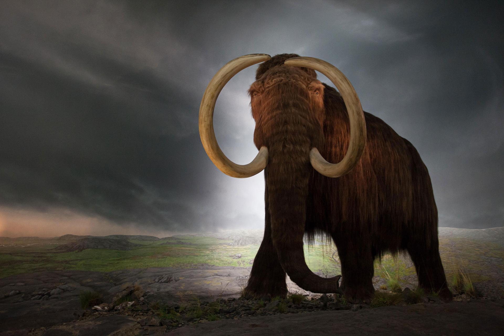 Image from bioGraphic