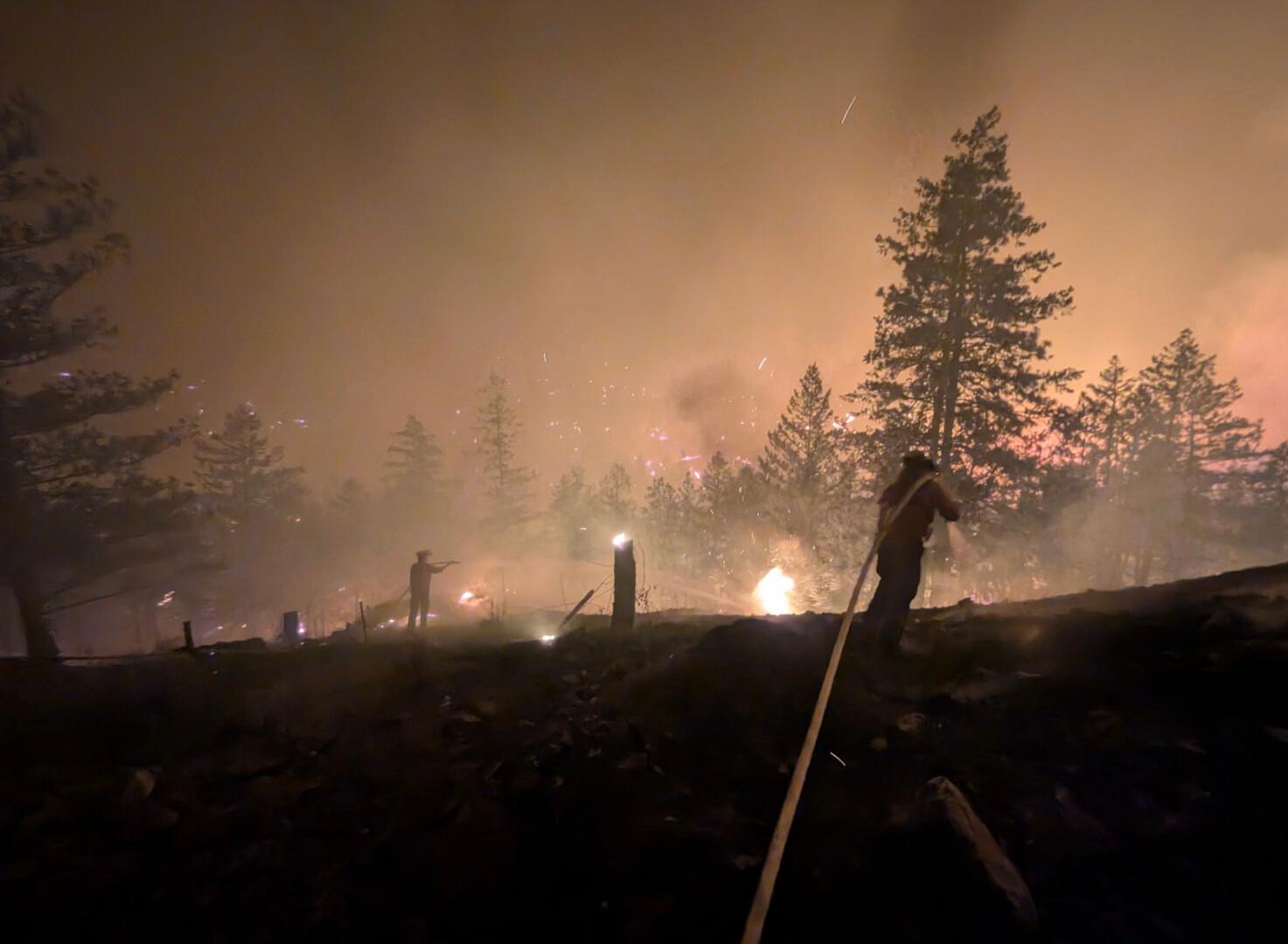 Image from Castanet
