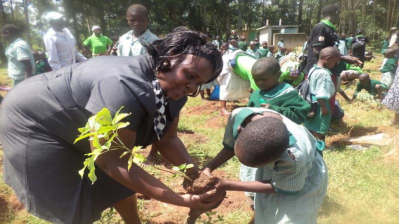 ‘We amplified our voices’: women lead the charge on local climate effects