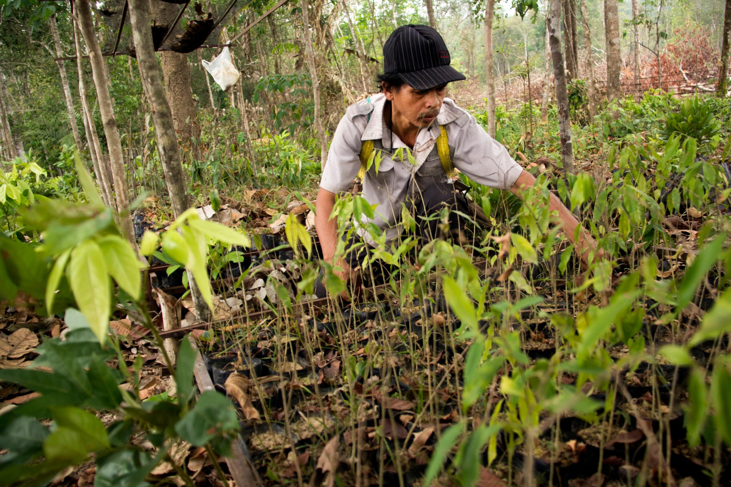 Image from Climate Home News