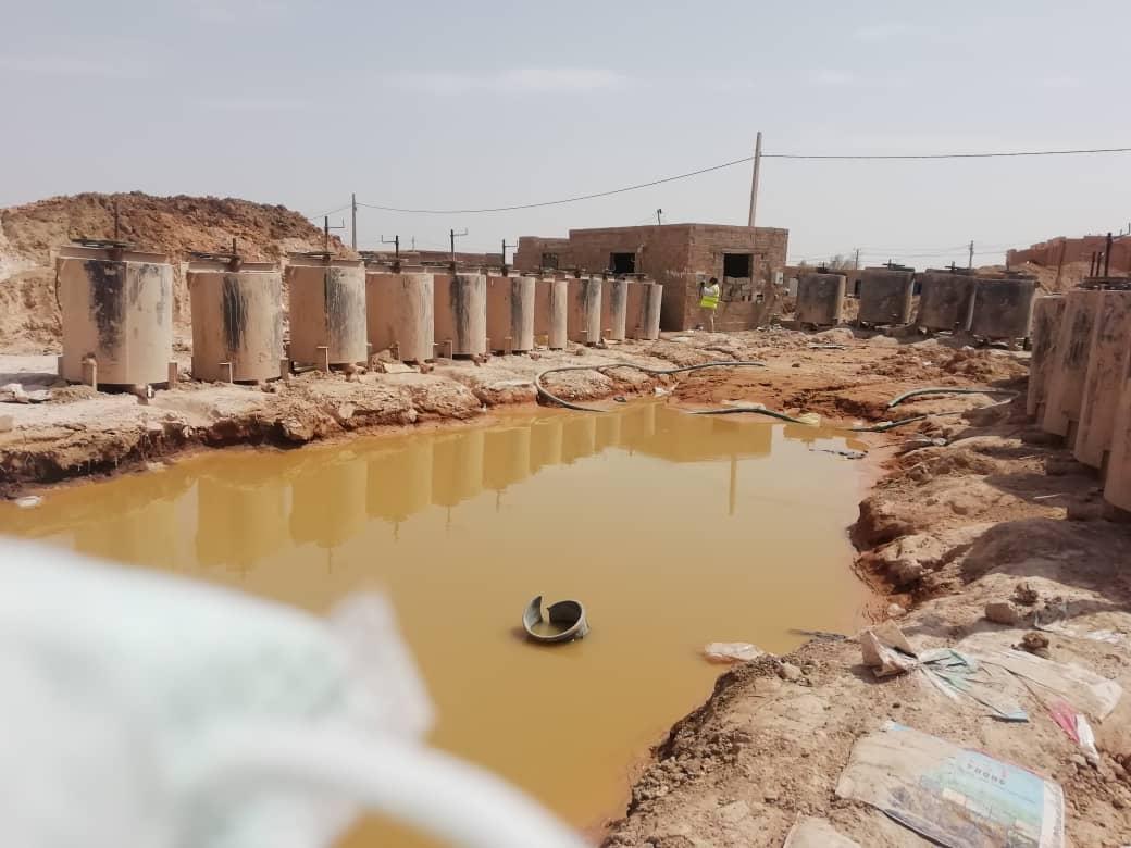 ‘Toxic gold mining waste kills camels in Sudan’s Red Sea state’