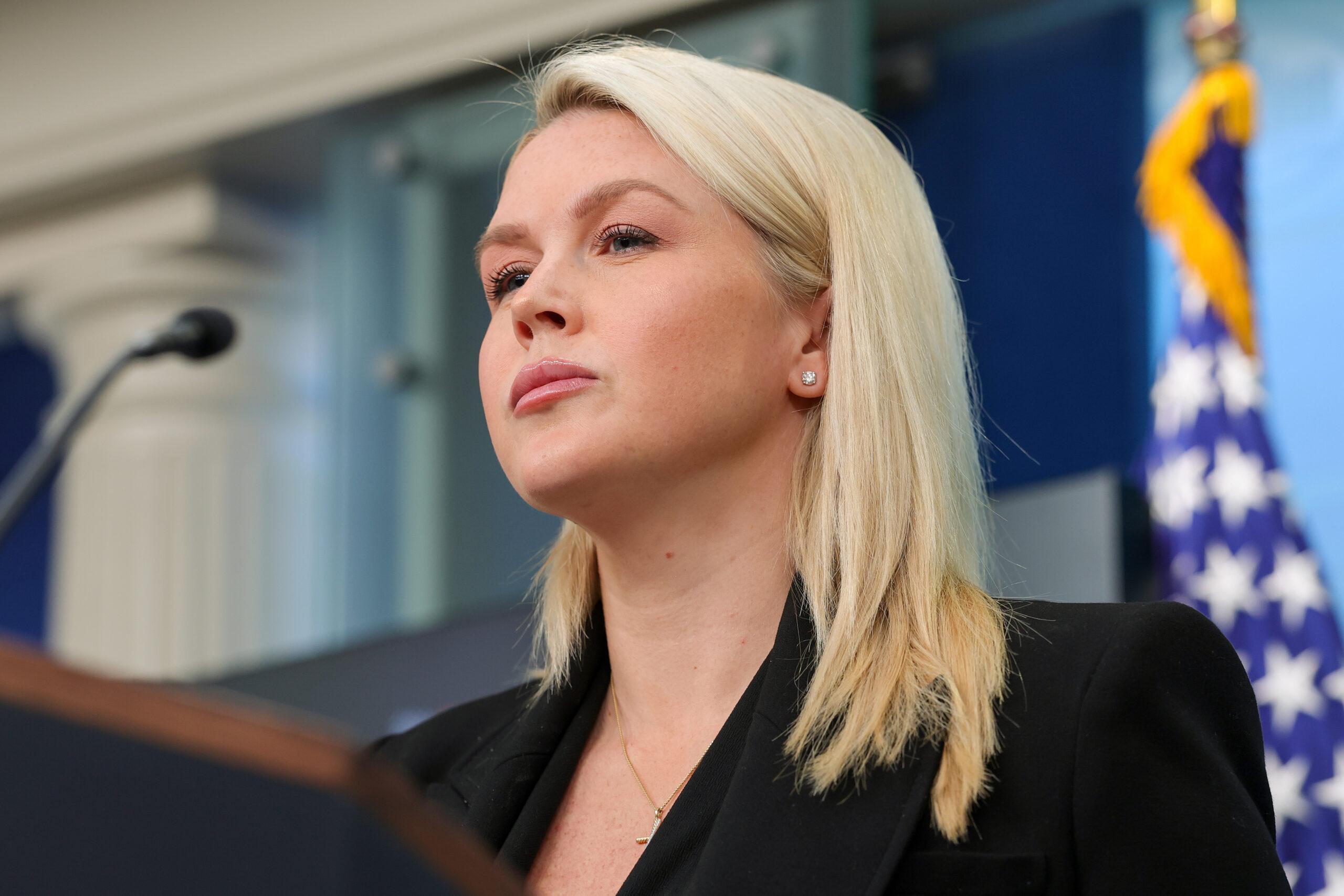 Image from Democracy Docket