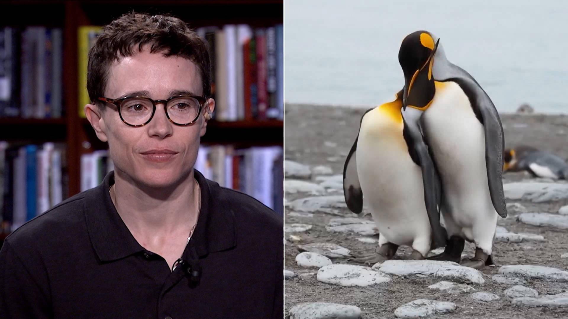 Image from Democracy Now!