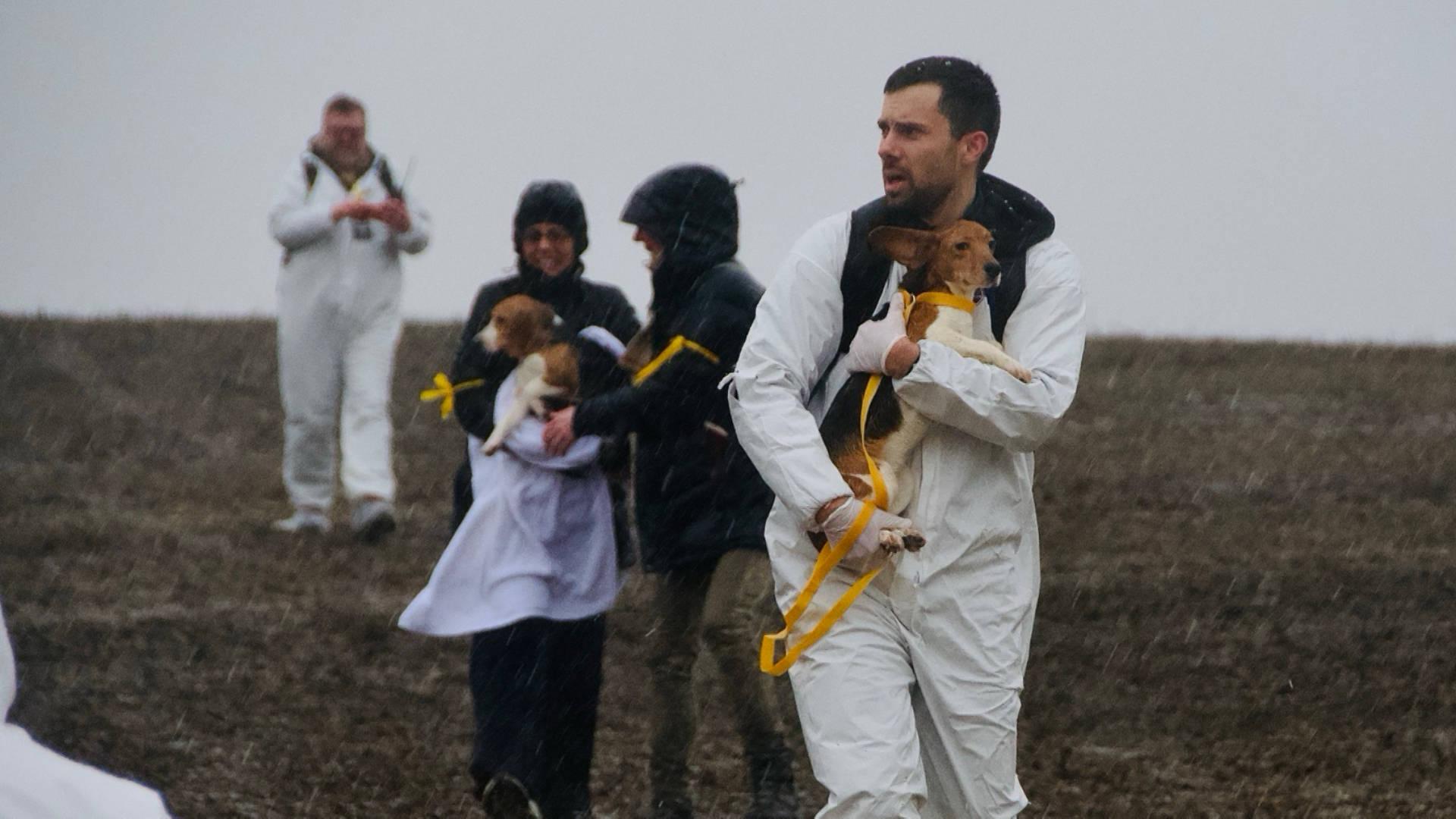 Image from Democracy Now!