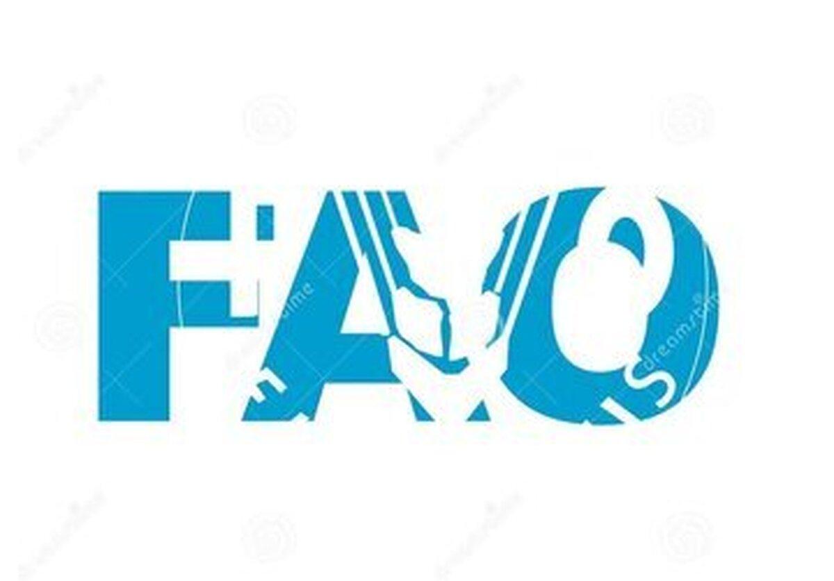 Image from اقتصاد آنلاین