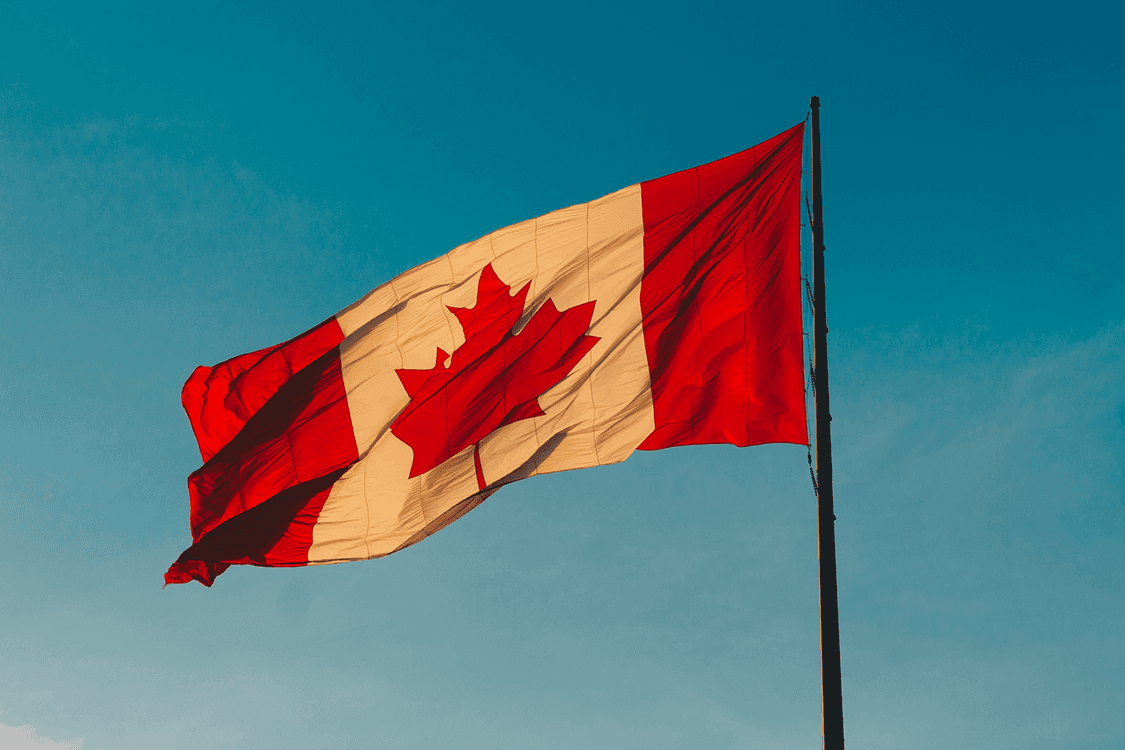 Image from electrive