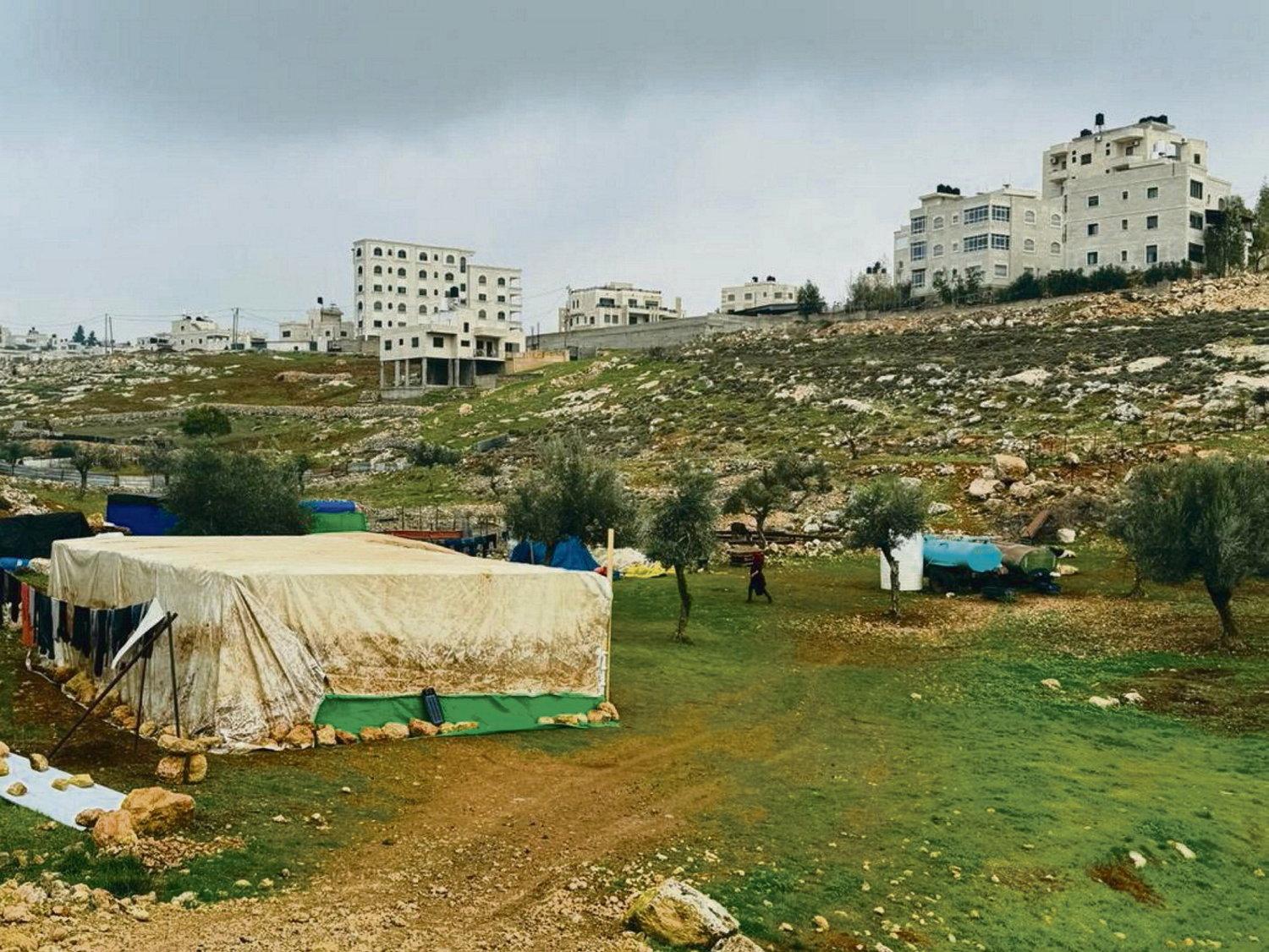 Israeli Colonists Attack Displaced Bedouin Community Near Jericho, WAFA Says