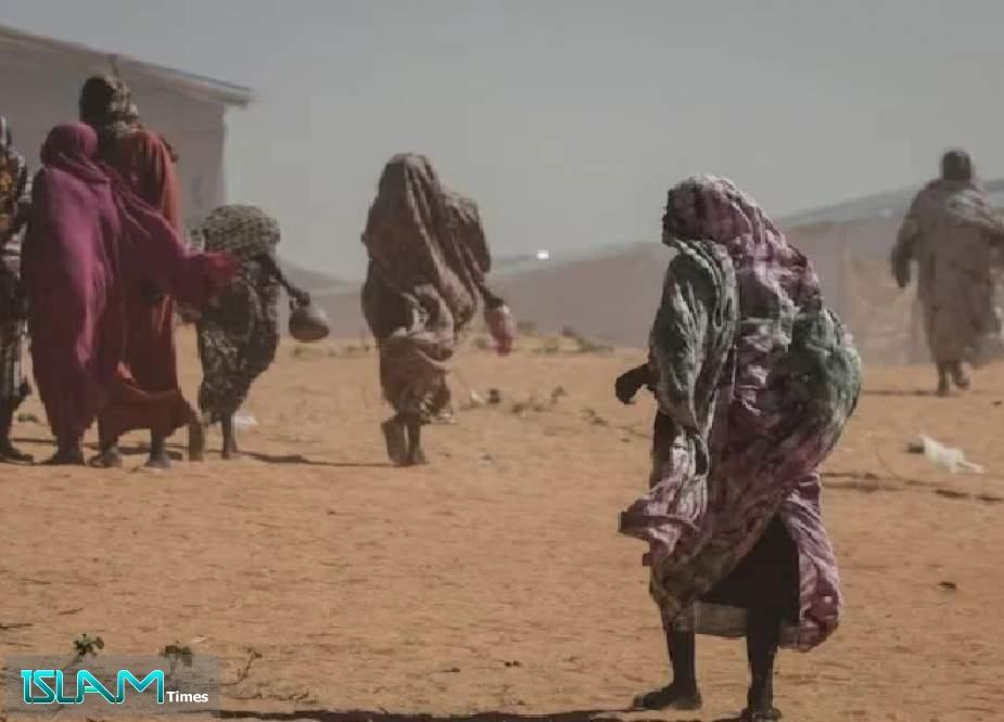 UN Report Says Sudan’s RSF Killed, Raped, Abducted Civilians in El-Fasher, Marking Genocide