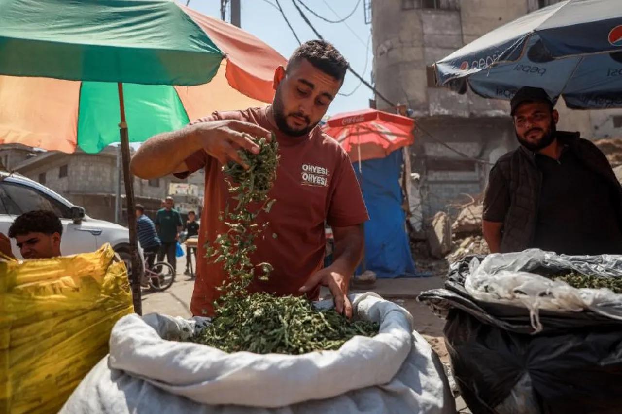 Mulukhiyah cigarettes... chemical poisons in Gaza