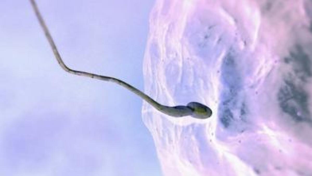 IVI Warns Illegal Semen Sales Via Social Media In Spain Have Increased