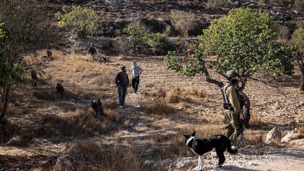 Mike Huckabee Calls Israeli Settlers ‘Terrorists’ as Israeli Forces Evacuate Qusra Families