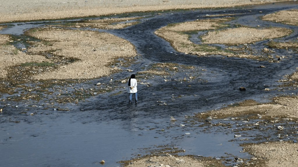 Image from CediRates