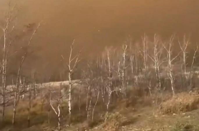 Mark Carney Says Serious Incident Sparked Fire at Canadian Forces Base Wainwright, Alberta