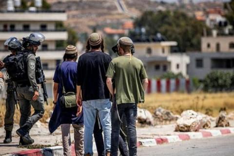 Israeli Settlers Attack Palestinians South of Hebron, Injure Activist and Burn Vehicles