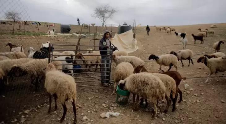 Israeli Raids Injure Palestinian, Arrest Two in Hizma and Hebron West Bank