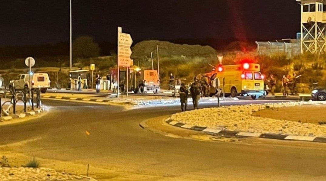 Colonists Set Fire To Olive Trees Near Turmus Ayya And Abu Falah East Of Ramallah