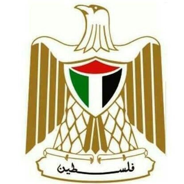Gaza Ministry of Health Warns Imminent Shutdown of Only Oxygen Plant Serving Gaza and North