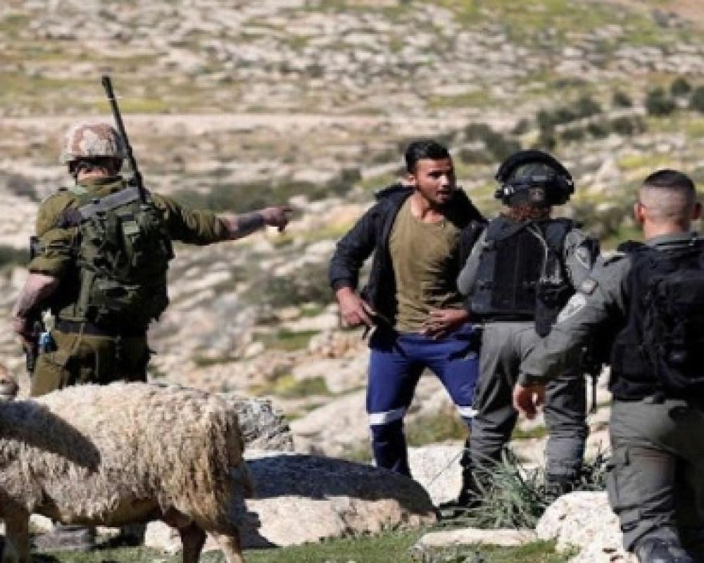Settlers Injure Palestinians Across West Bank, Including Live Fire In Wadi Al-Rakhim