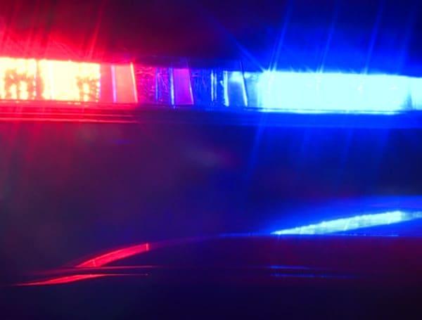 Image from Tampa Free Press