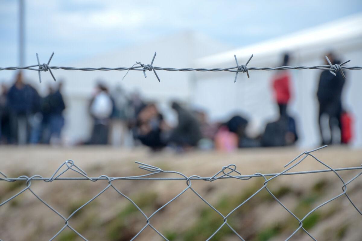 EU Foreign-Born Population Reaches Record 64.2 Million in 2025, Germany Hosts Nearly 18 Million