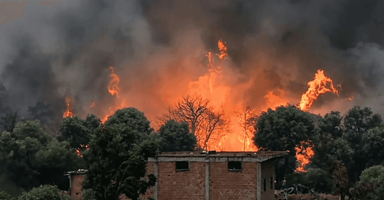 Algeria Declares Three Days Of Mourning After Wildfires Kill 12 In Jijel