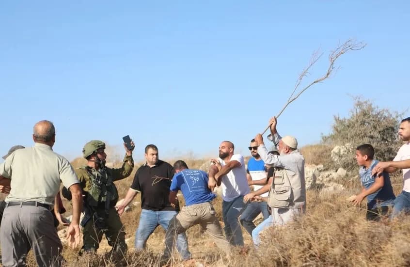 Egypt Condemns Israeli Settlers' Attacks in West Bank