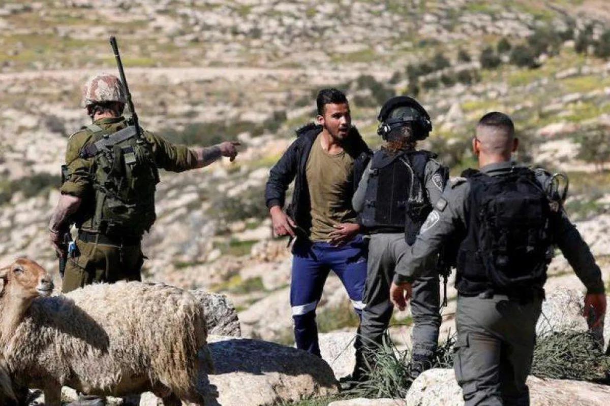Israeli Settlers Attack Palestinian Shepherds in Masafer Yatta