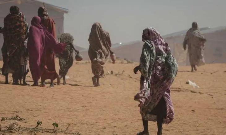Air Strike Destroys Two WFP Trucks Carrying Food for 5,800 People in South Kordofan