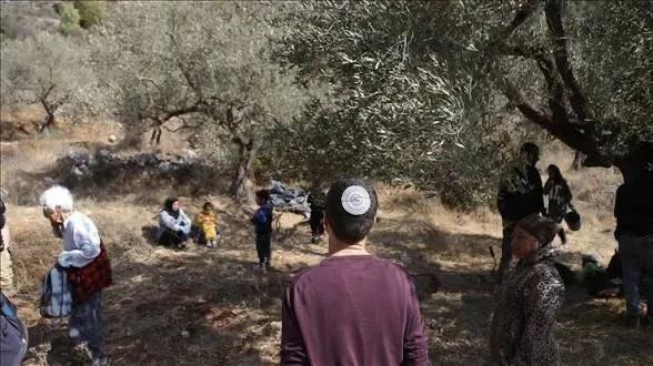 Israeli Rabbi Dov Lior Permits Settlers To Steal Palestinian Olives In West Bank