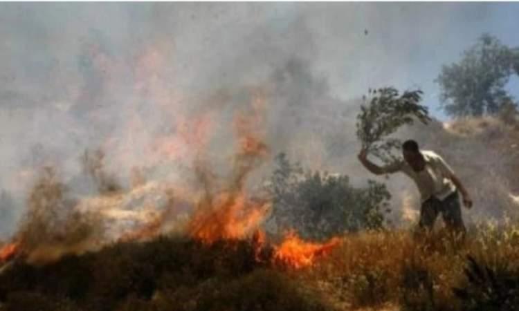 Israeli Settlers Injure Palestinians In Tubas And Idhna, West Bank