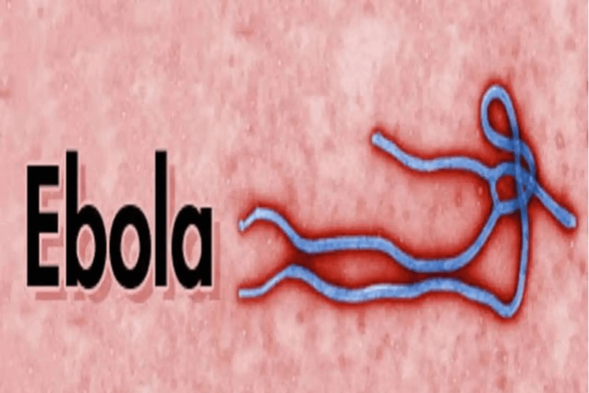 Nigeria Confirms First Ebola Case In Abuja, Tracks 44 Contacts