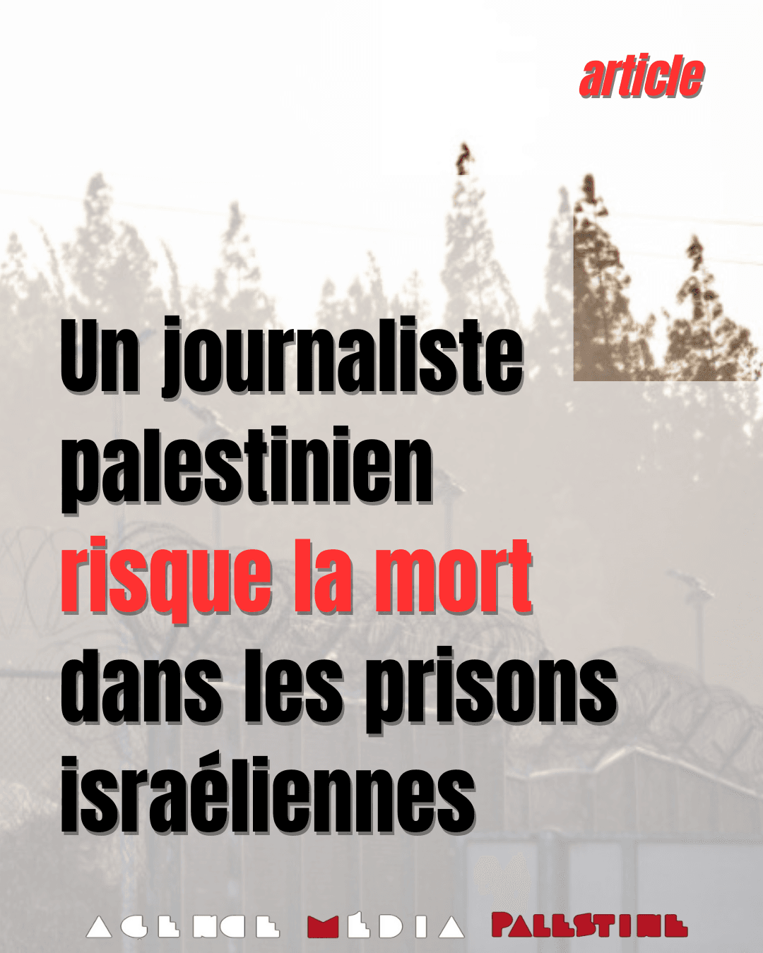 Image from Agence Media Palestine