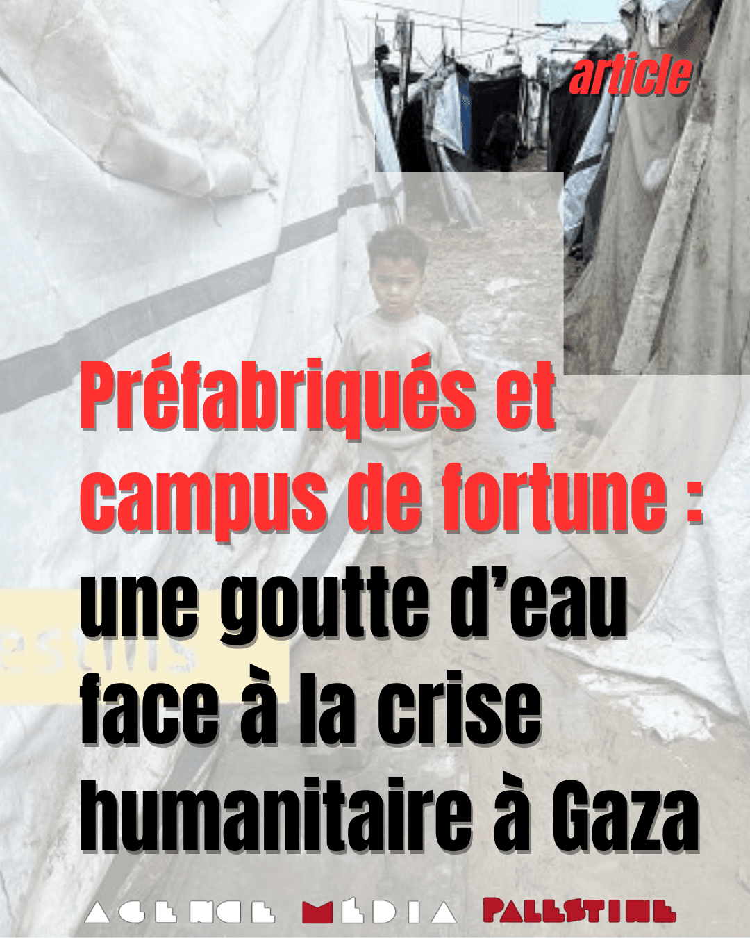 Image from Agence Media Palestine