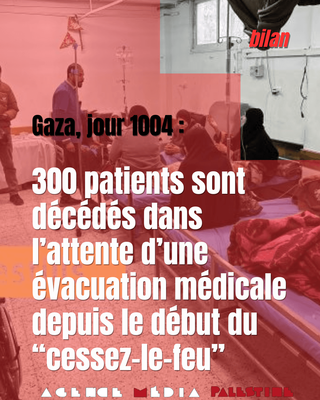 Image from Agence Media Palestine