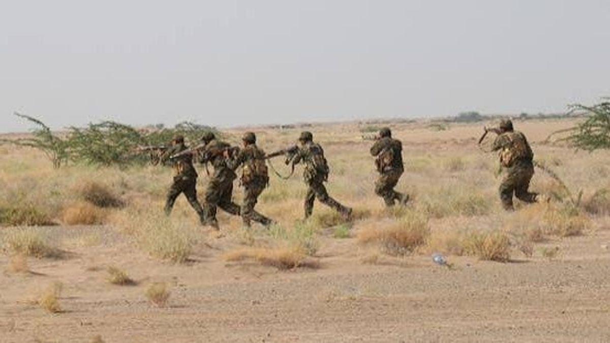 Image from Aajil