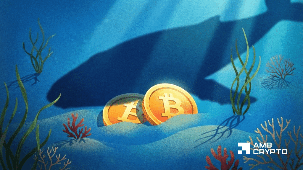 Image from AMBCrypto