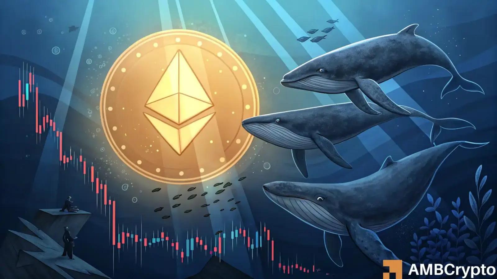 Image from AMBCrypto