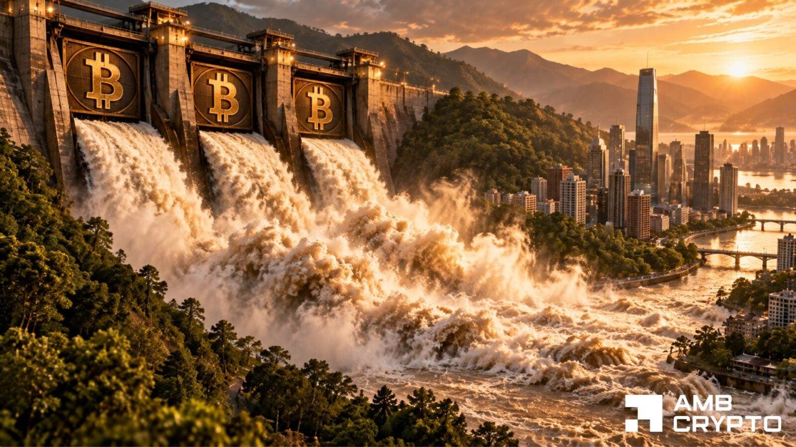 Image from AMBCrypto