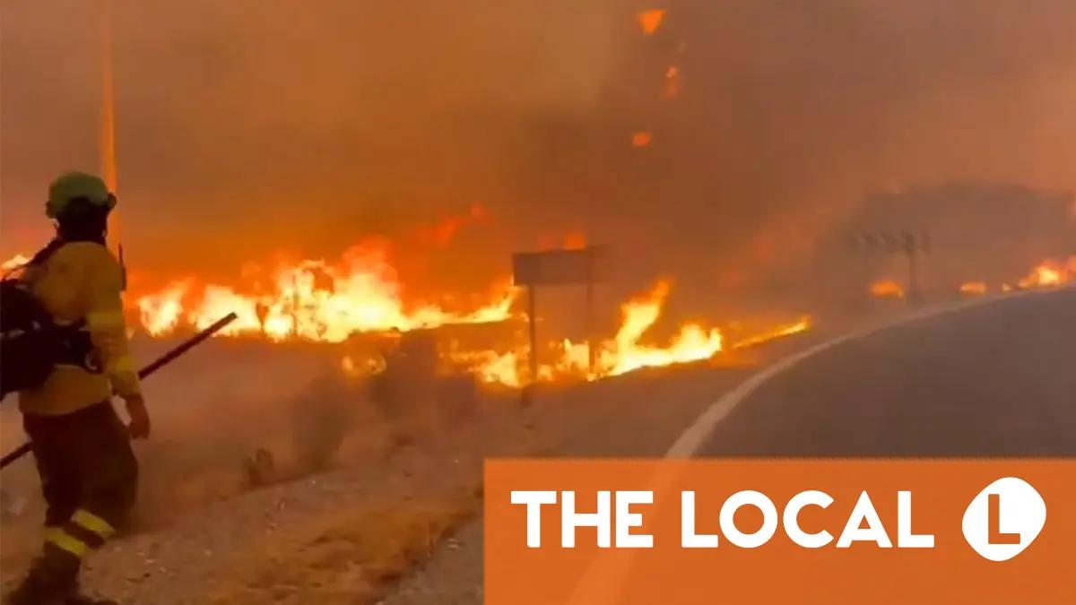 Wildfire Kills At Least 12 Near Los Gallardos, Injures 8 In Andalusia