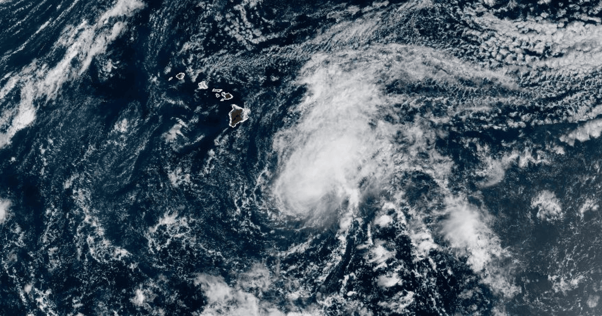 Image from CBS News