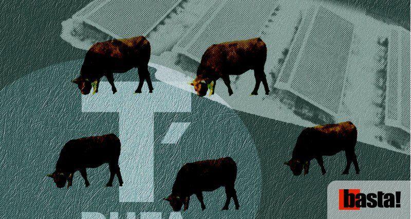 Farming Union Files Complaint Against X at Sainte-Livrade Over Avian Flu in Lot-et-Garonne